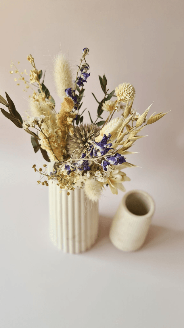 Duo vases Soléa - Alba